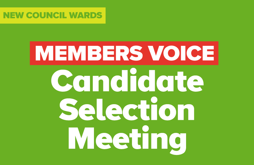 Council Candidate Selection