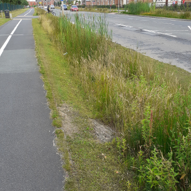 Poor roadside management of the swales in 2021